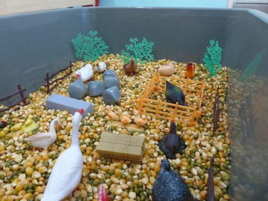 Precious Seeds Early Learning and Child Care Center, Bandar Sunway