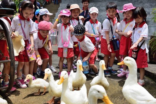 H’Apples Kindergarten, The Cube @ Bandar Puteri Puchong