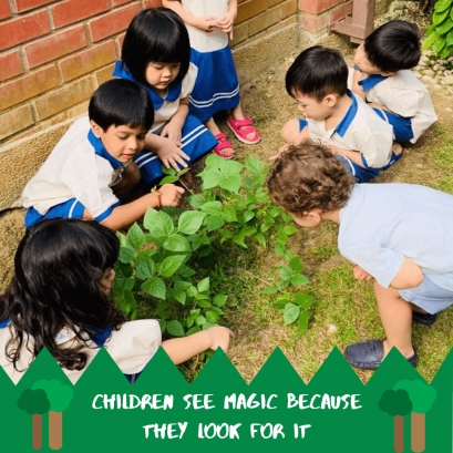 Roots & Wings Montessori Preschool, Damansara Heights