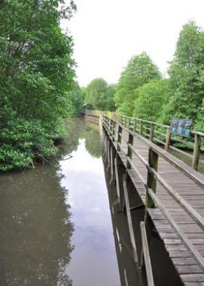 Kota Kinabalu Wetland Centre