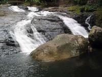 Bukit Hijau Recreational Forest