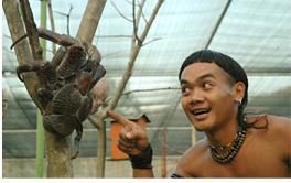 D Paradise Tropical Fruit World & Aboriginal Native Village