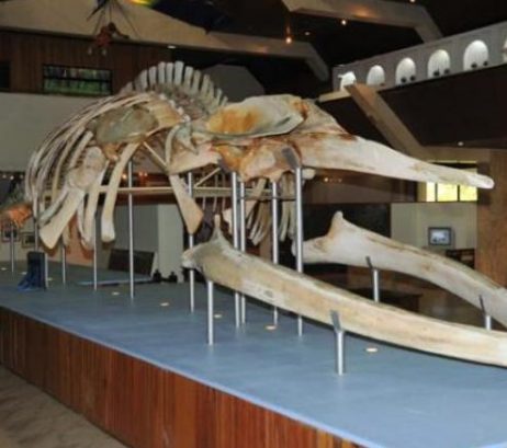 State Museum, Kota Kinabalu