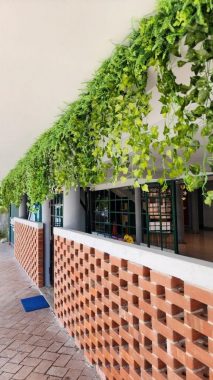 Small Wonder Malaysia, Taman Sea, Selangor