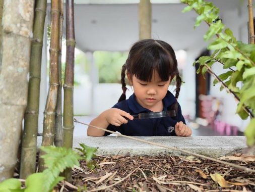 Kinder Koala Preschool, Petaling Jaya