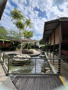 Little Urban Forest, Taman Bukit Desa