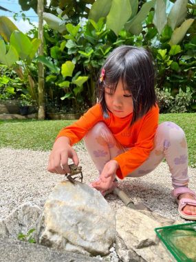Little Urban Forest, Taman Bukit Desa