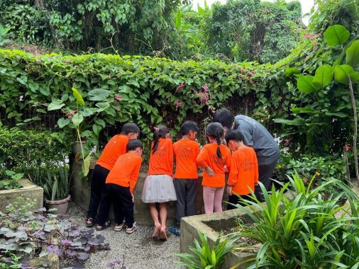Little Urban Forest, Taman Bukit Desa