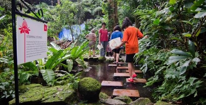 Night Walks at Tropical Spice Garden