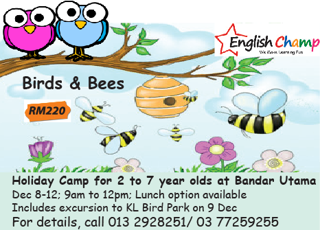 English Champ – Birds & Bees Holiday Camp