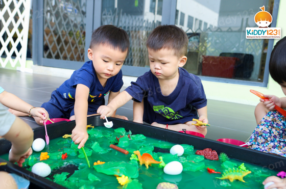 Knowledge Tree Montessori Kindergarten, Eco Ardence