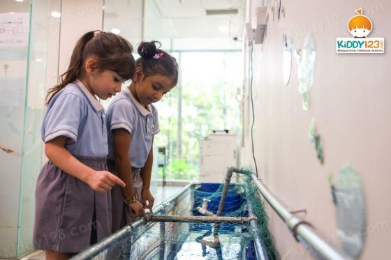 YGLR, Bangsar South, Kuala Lumpur (New Soleil Mond)