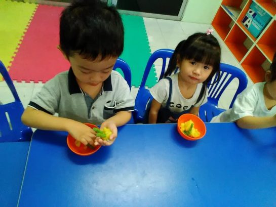 3Q MRC Toddlers Kampar (Taska Junior Pintar)