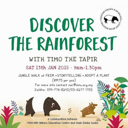 Discover the Rainforest with Timo the Tapir