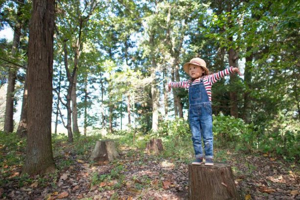 Travel Ideas That are Child Friendly in Malaysia