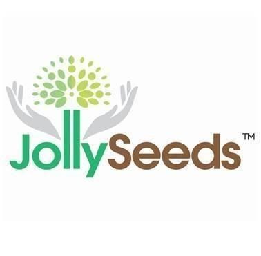 Teacher / Nurse @ Jolly Seeds Educare Teacher / Nurse @ Jolly Seeds Educare