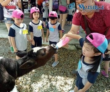 Mortimer Holiday Programme – A Farm Experience