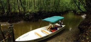 Kuala Sepetang Recreational Forest