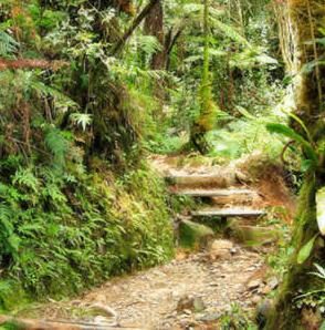 Mesilau Nature Resort in Sabah