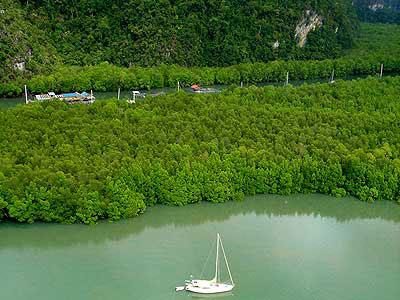 The Hole In the Wall Fish Farm