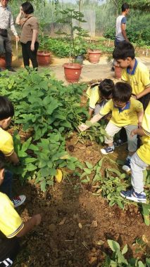 Bright Kids Kindergarten (Tadika Semangat Jaya), Ipoh