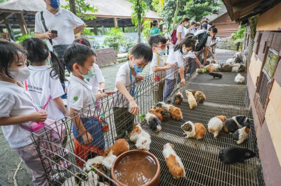 Rise N Shine Childcare Centre, SS2