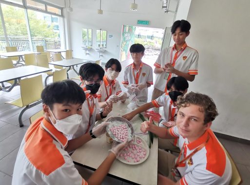 Rafflesia International School (Primary & Secondary), Bandar 16 Sierra, Puchong