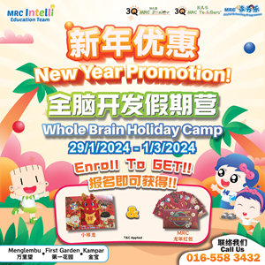 Whole Brain Holiday Camp @ MRC Ipoh Group