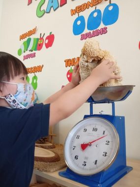 Kinder Koala Preschool, Desa Sri Hartamas