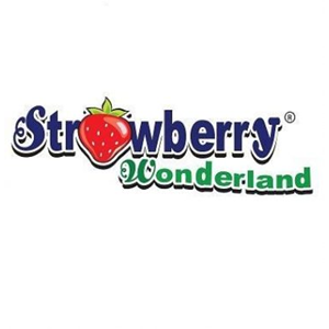 Preschool Teachers @ Strawberry Wonderland, Taman Pelangi Semenyih, Semenyih