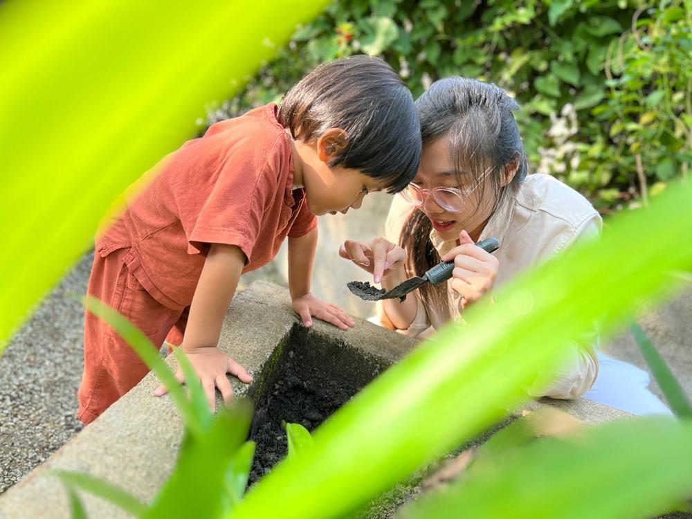Little Urban Forest, Taman Bukit Desa