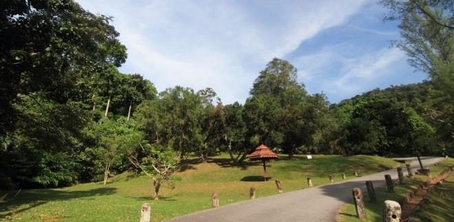 Children’s Camp at Penang Botanic Gardens