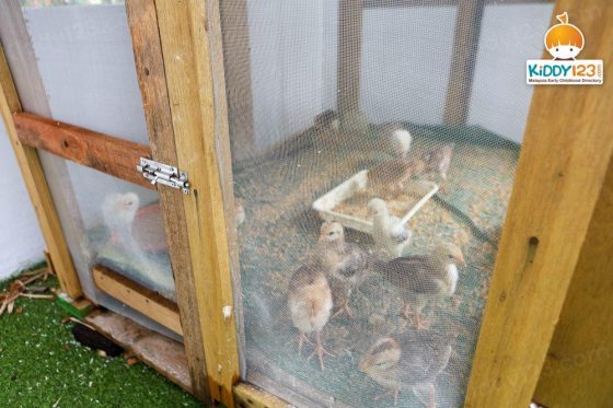 Small Wonder Malaysia, Bandar Parklands, Klang