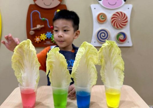 ABC Tot, Segar Perdana, Cheras