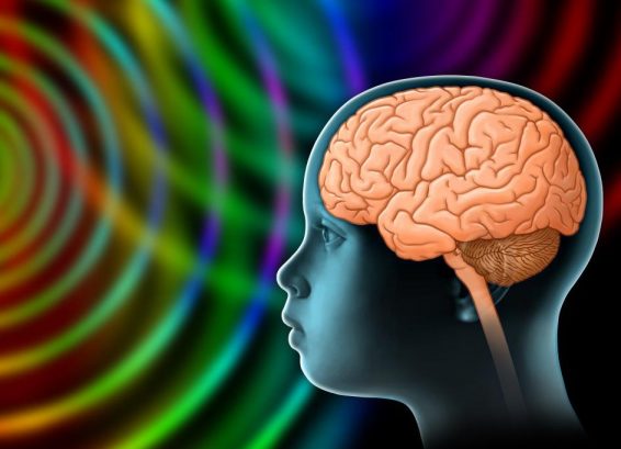 What’s Your Child’s Learning Style?